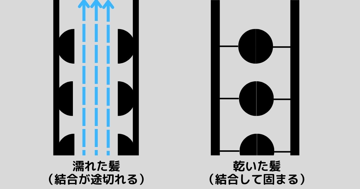 寝癖直しができる原因、髪の水素結合の仕組みのイメージ